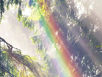 Ceremonies Help Humans Wake Up From The Trance