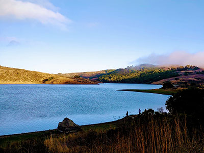 Getting Lost, Tea & Tie-Dye