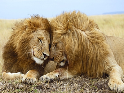 When You Feel Too Scared To Shine